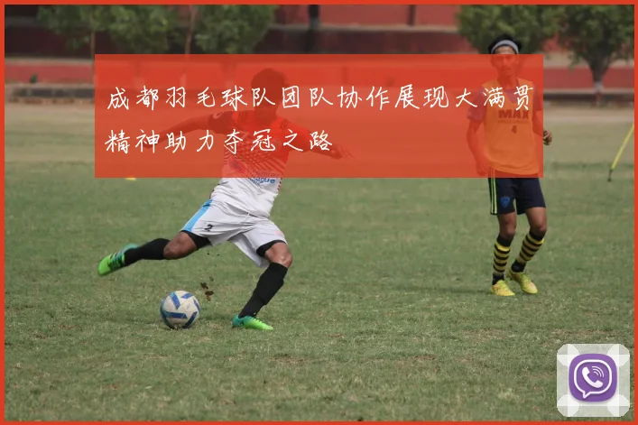 成都羽毛球队团队协作展现大满贯精神助力夺冠之路