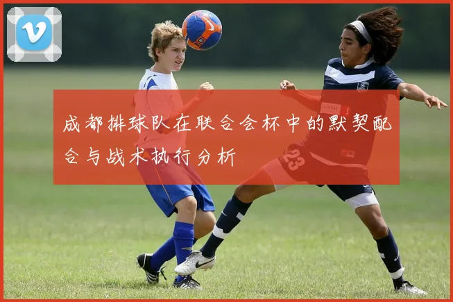 成都排球队在联合会杯中的默契配合与战术执行分析