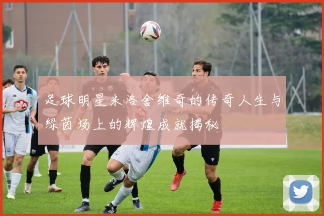 足球明星米洛舍维奇的传奇人生与绿茵场上的辉煌成就揭秘