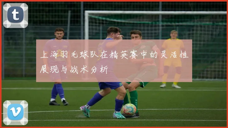 上海羽毛球队在精英赛中的灵活性展现与战术分析