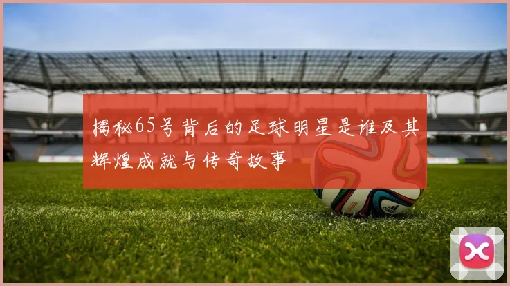揭秘65号背后的足球明星是谁及其辉煌成就与传奇故事