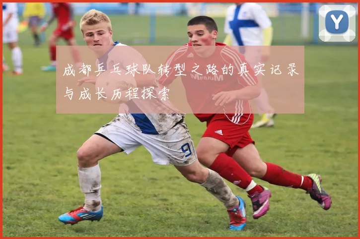 成都乒乓球队转型之路的真实记录与成长历程探索