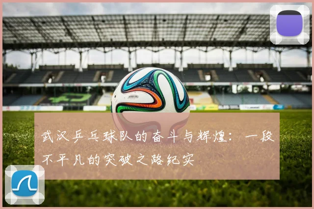 武汉乒乓球队的奋斗与辉煌：一段不平凡的突破之路纪实