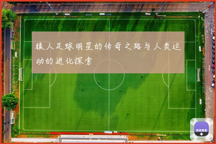 猿人足球明星的传奇之路与人类运动的进化探索