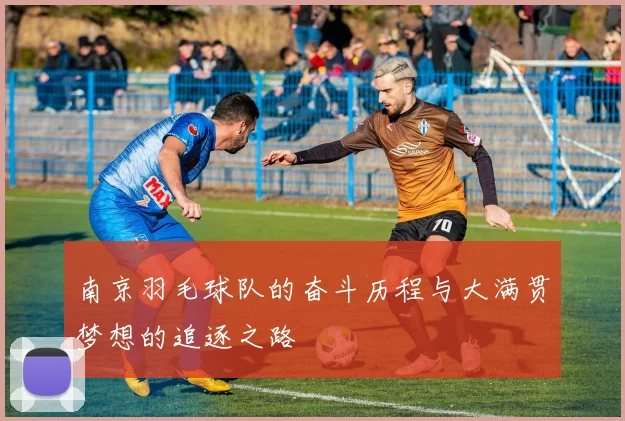 南京羽毛球队的奋斗历程与大满贯梦想的追逐之路