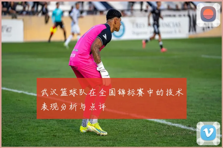 武汉篮球队在全国锦标赛中的技术表现分析与点评