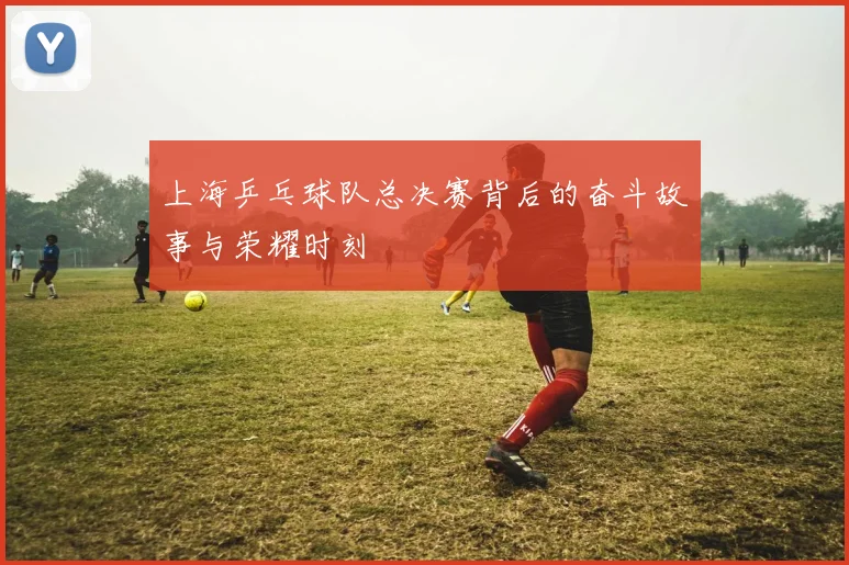 上海乒乓球队总决赛背后的奋斗故事与荣耀时刻