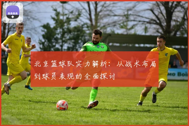 北京篮球队实力解析：从战术布局到球员表现的全面探讨