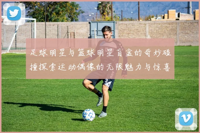 足球明星与篮球明星盲盒的奇妙碰撞探索运动偶像的无限魅力与惊喜