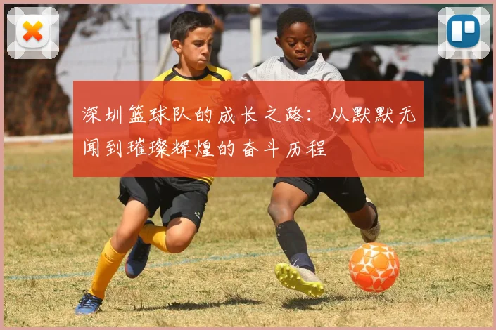 深圳篮球队的成长之路：从默默无闻到璀璨辉煌的奋斗历程